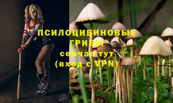гашишное масло Алексеевка