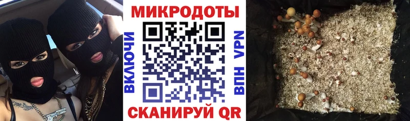 Псилоцибиновые грибы Magic Shrooms  Ленинск 