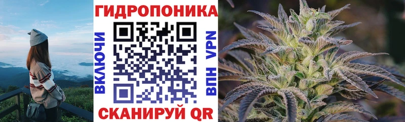 где найти наркотики  Ленинск  Канабис Bruce Banner 